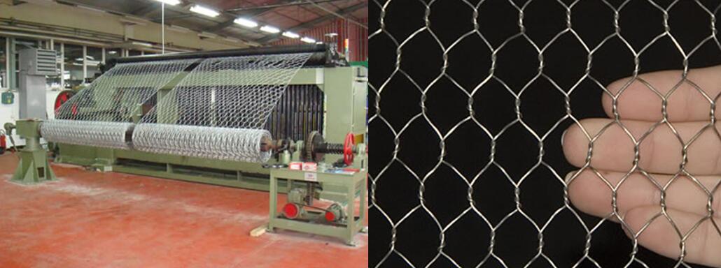 hexagonal wire mesh