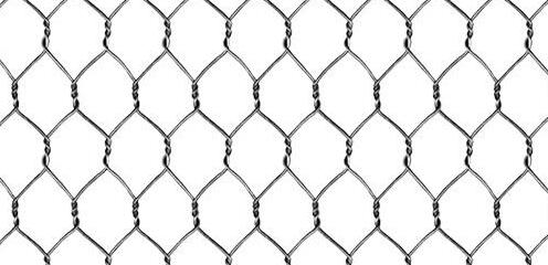 stainless steel chicken wire